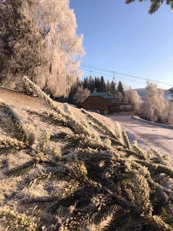 Alenka Špindlerŭv Mlýn