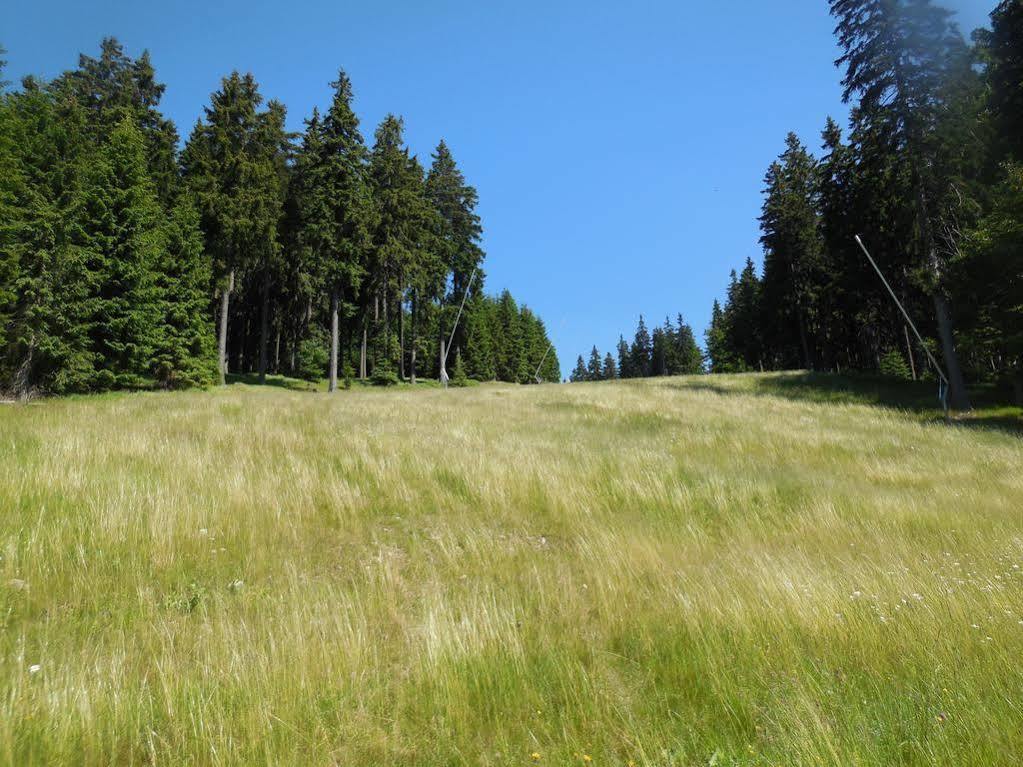 Alenka 3* Špindlerŭv Mlýn